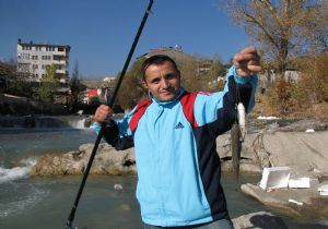 Oltu  Çayında olta balıkçılığı başladı